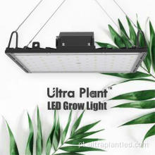 Novo APP Control Full Spectrum UV Grow Light